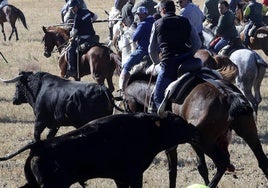 Momento en que el toro cornea al caballo.