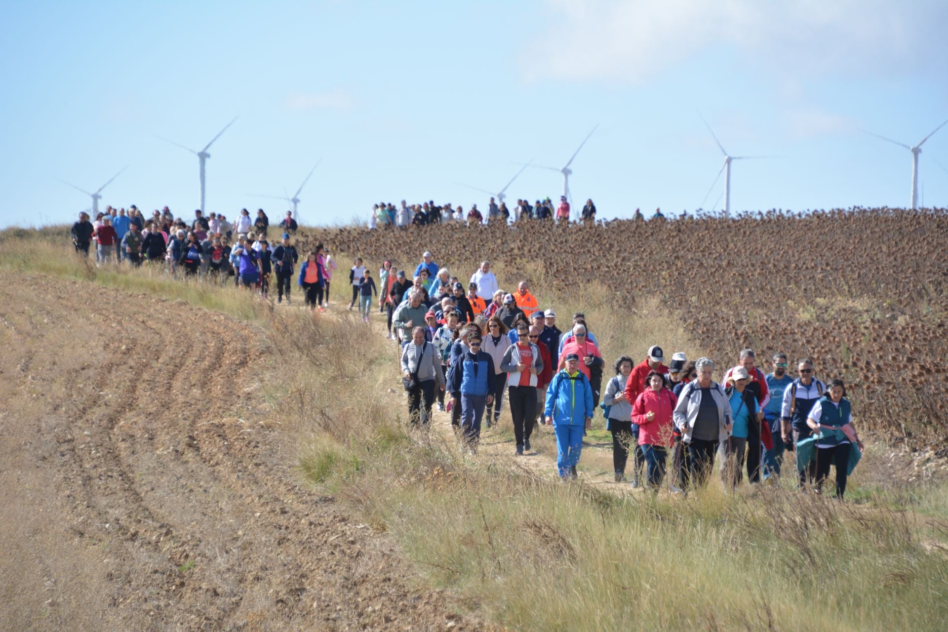 Participantes en la marcha de la Fundación San Cebrián.