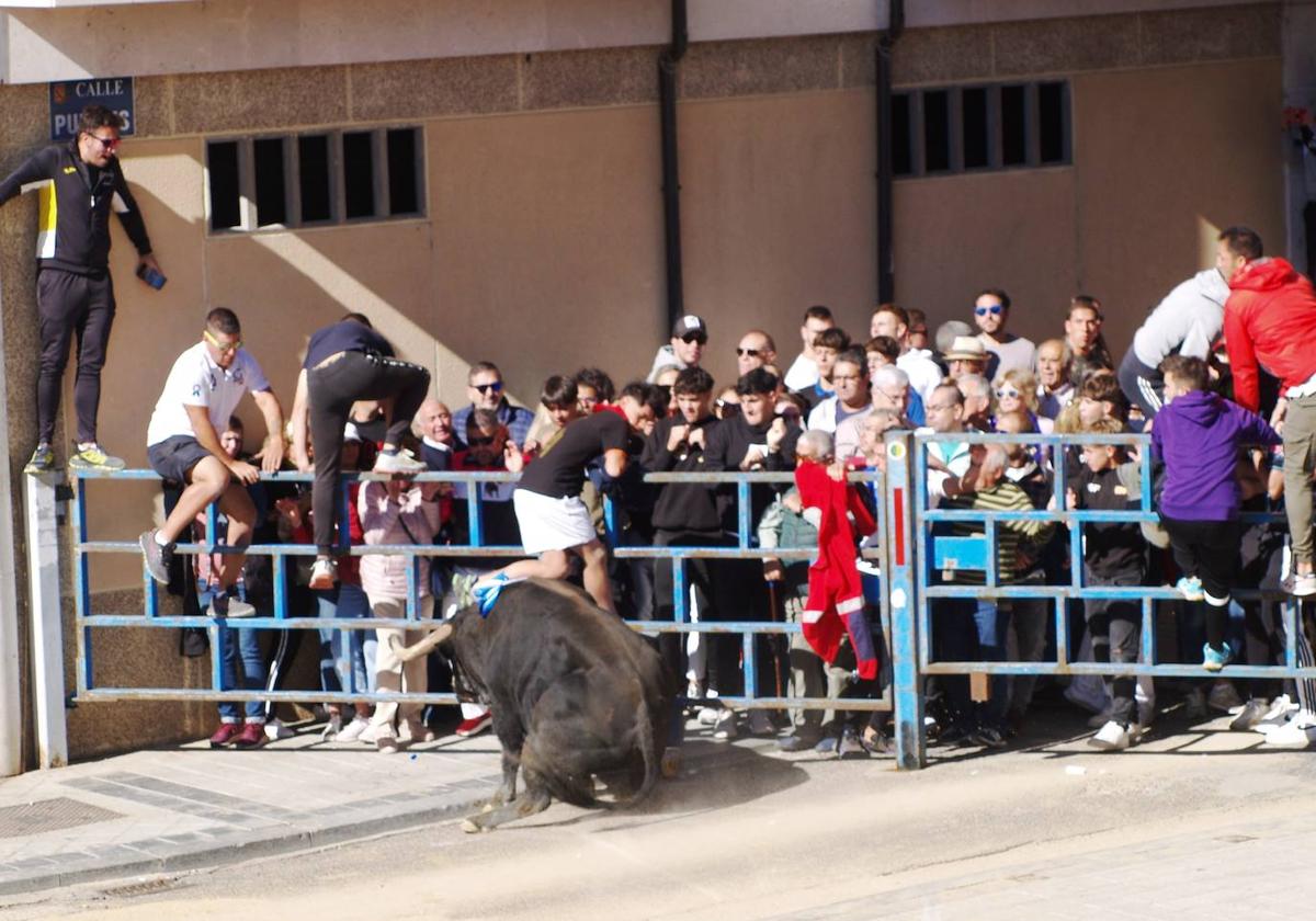 Un aficionado busca refugio en una talanquera.