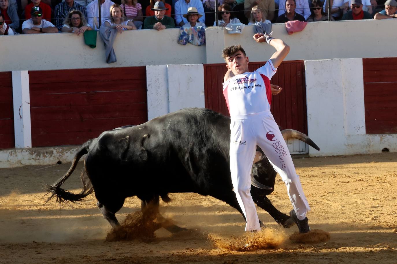 Las fotos más vibrantes del concurso de cortes del Olmedo