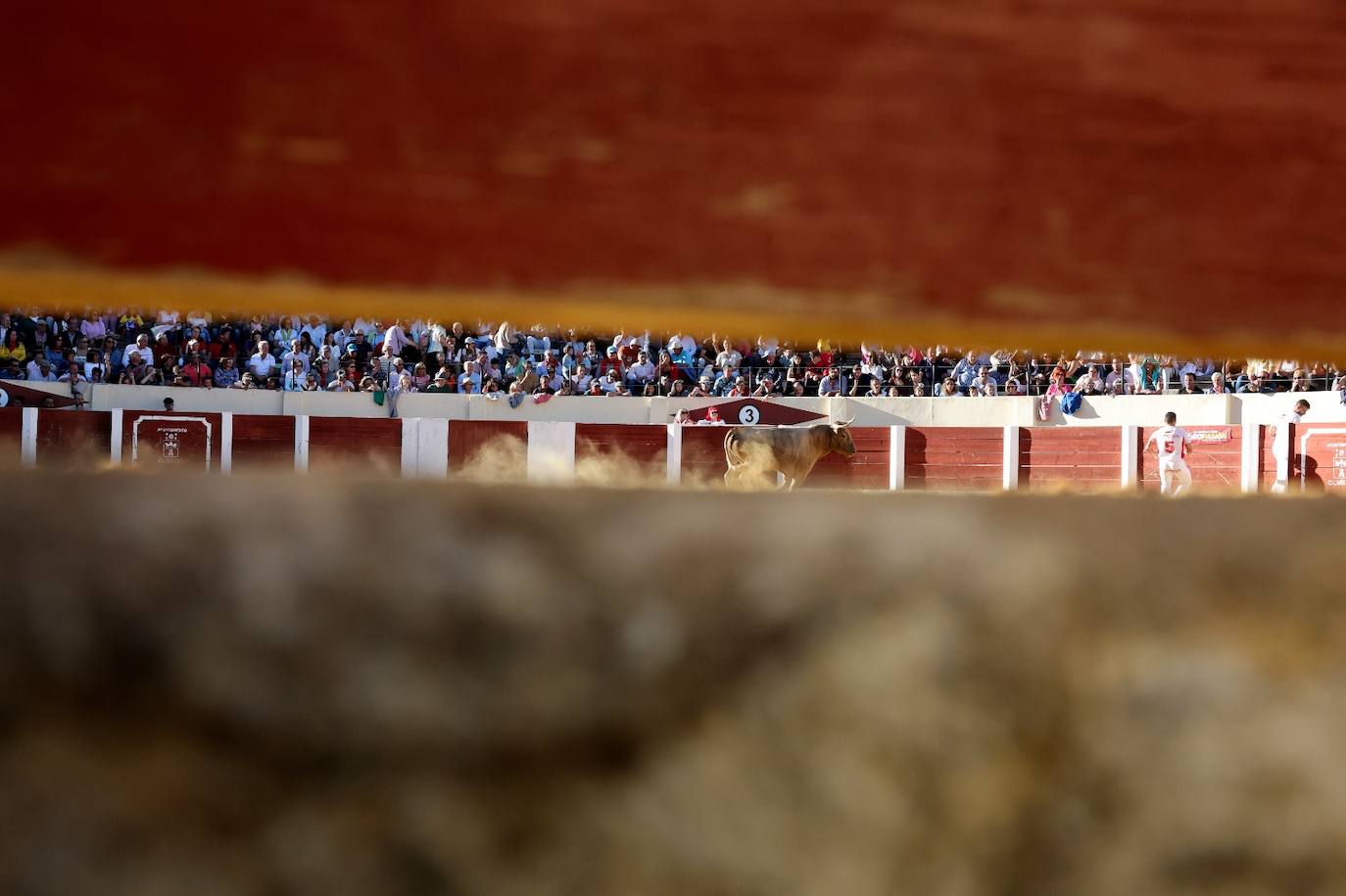 Las fotos más vibrantes del concurso de cortes del Olmedo