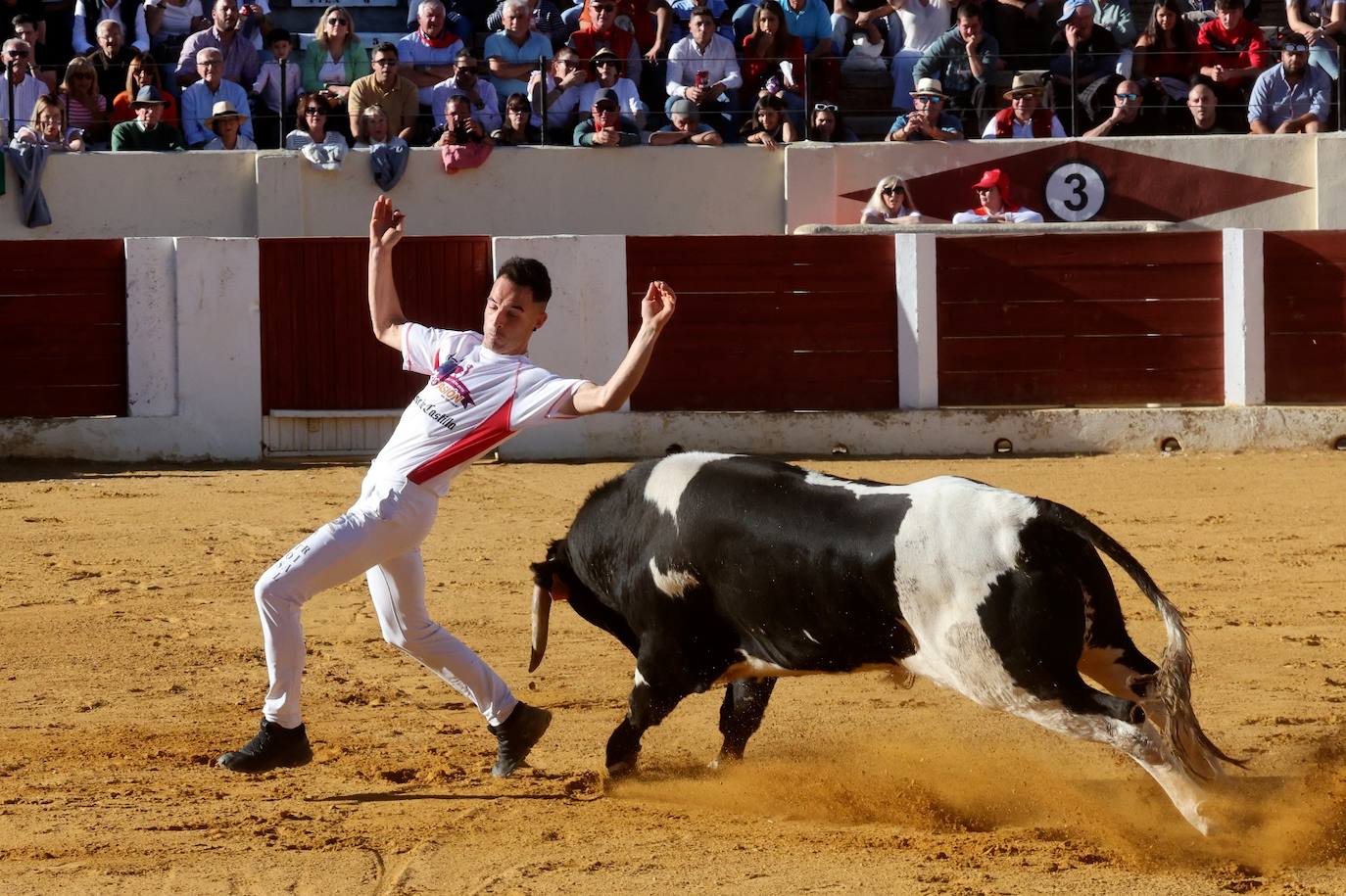 Las fotos más vibrantes del concurso de cortes del Olmedo