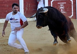Las fotos más vibrantes del concurso de cortes del Olmedo