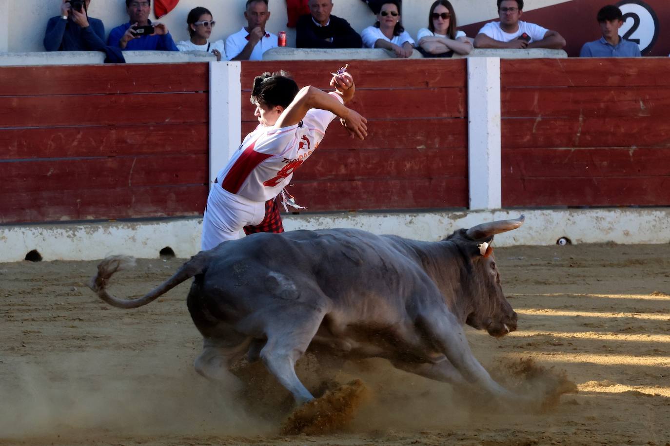 Las fotos más vibrantes del concurso de cortes del Olmedo