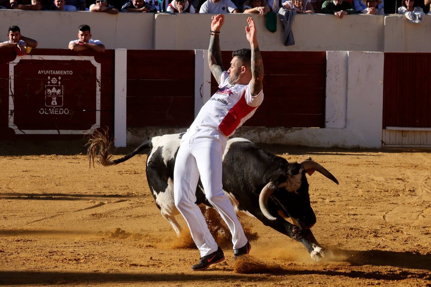 Las fotos más vibrantes del concurso de cortes del Olmedo