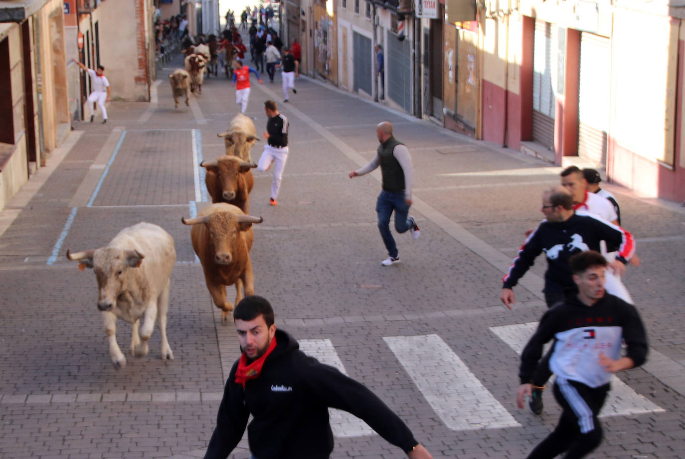 El encierro de San Miguel, en imágenes