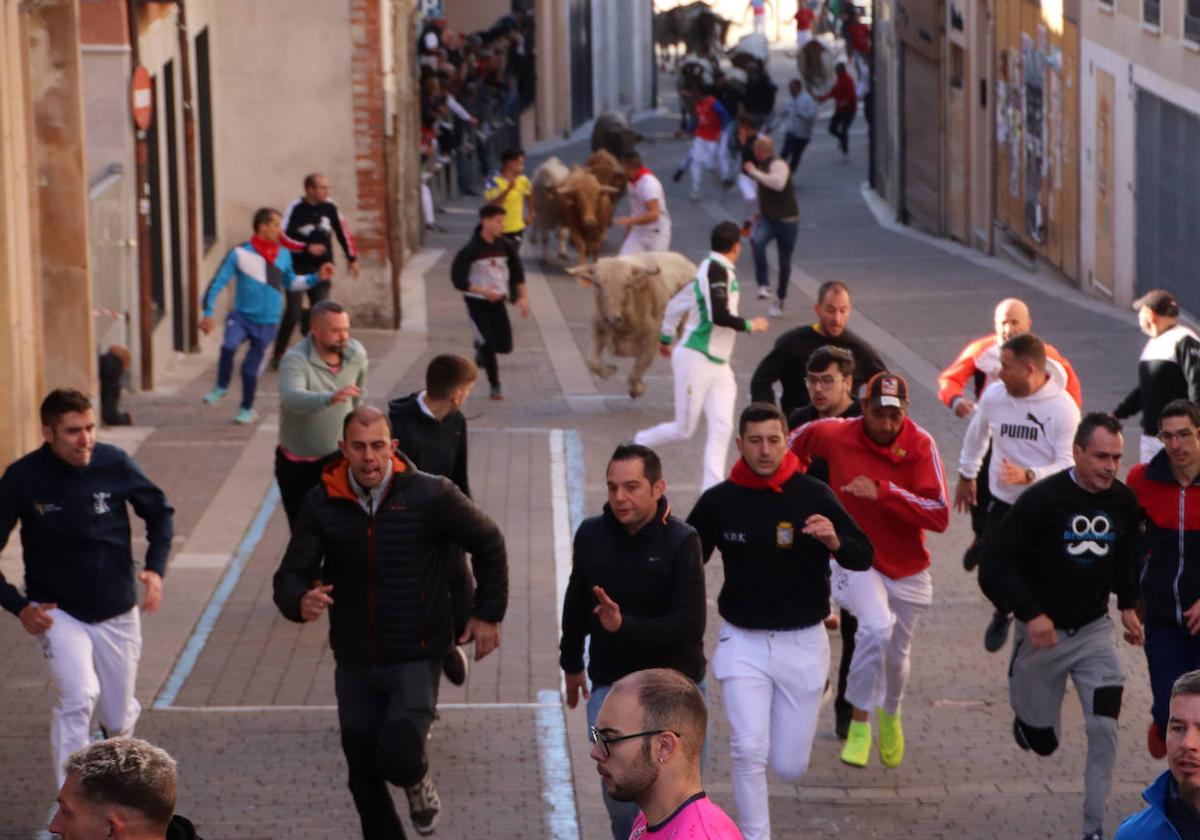 El encierro de San Miguel, en imágenes