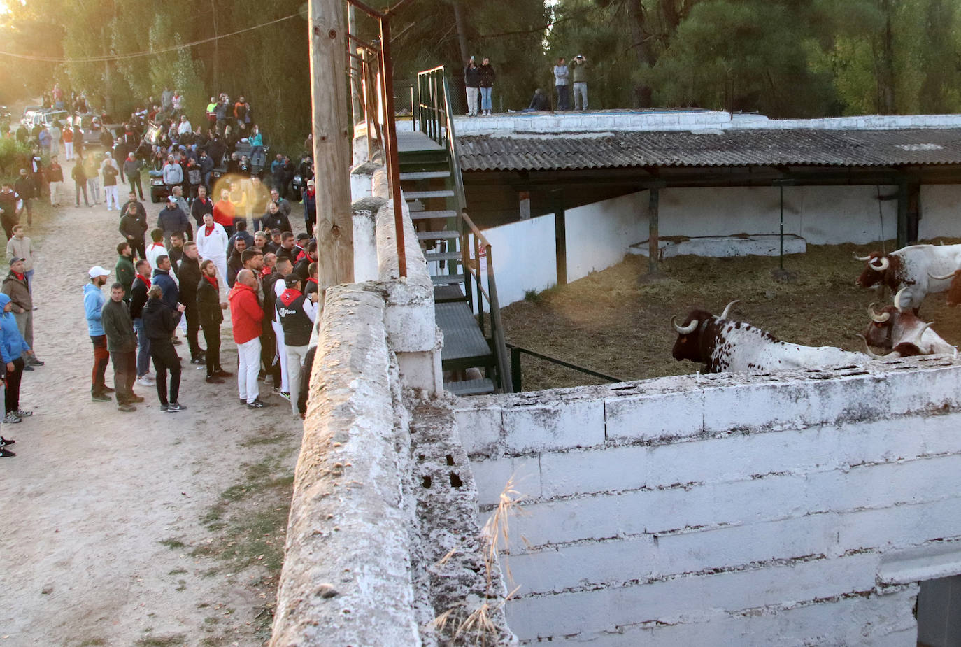 El encierro de San Miguel, en imágenes