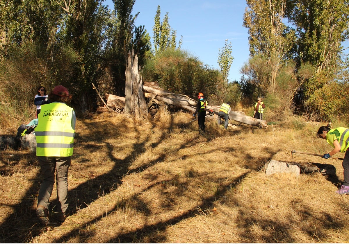 Los voluntarios llevaron a cabo labores de limpieza y desbrozado en el humedal