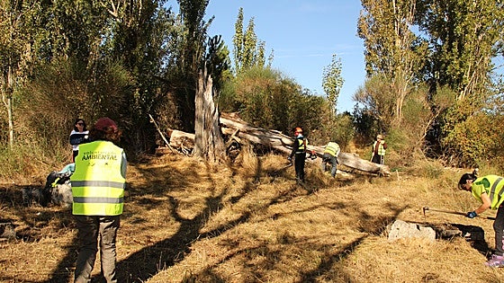Vecinos de Cuenca de Campos limpian y desbrozan el humedal de La Pichona