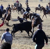 Pacma denuncia la muerte de un caballo corneado en las fiestas de Olmedo