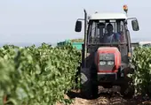 Un tractor fuera de control atropella a dos hombres en un viñedo en la Ribera del Duero