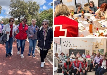 Cruz Roja atendió en Palencia a casi 900 mayores y cuidadoras el año pasado