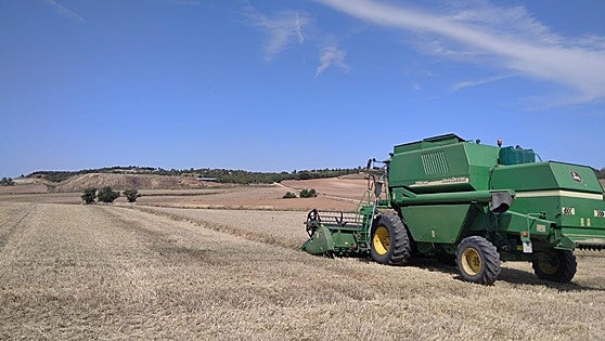 Las tensiones geopolíticas se trasladan en una subida del precio del cereal