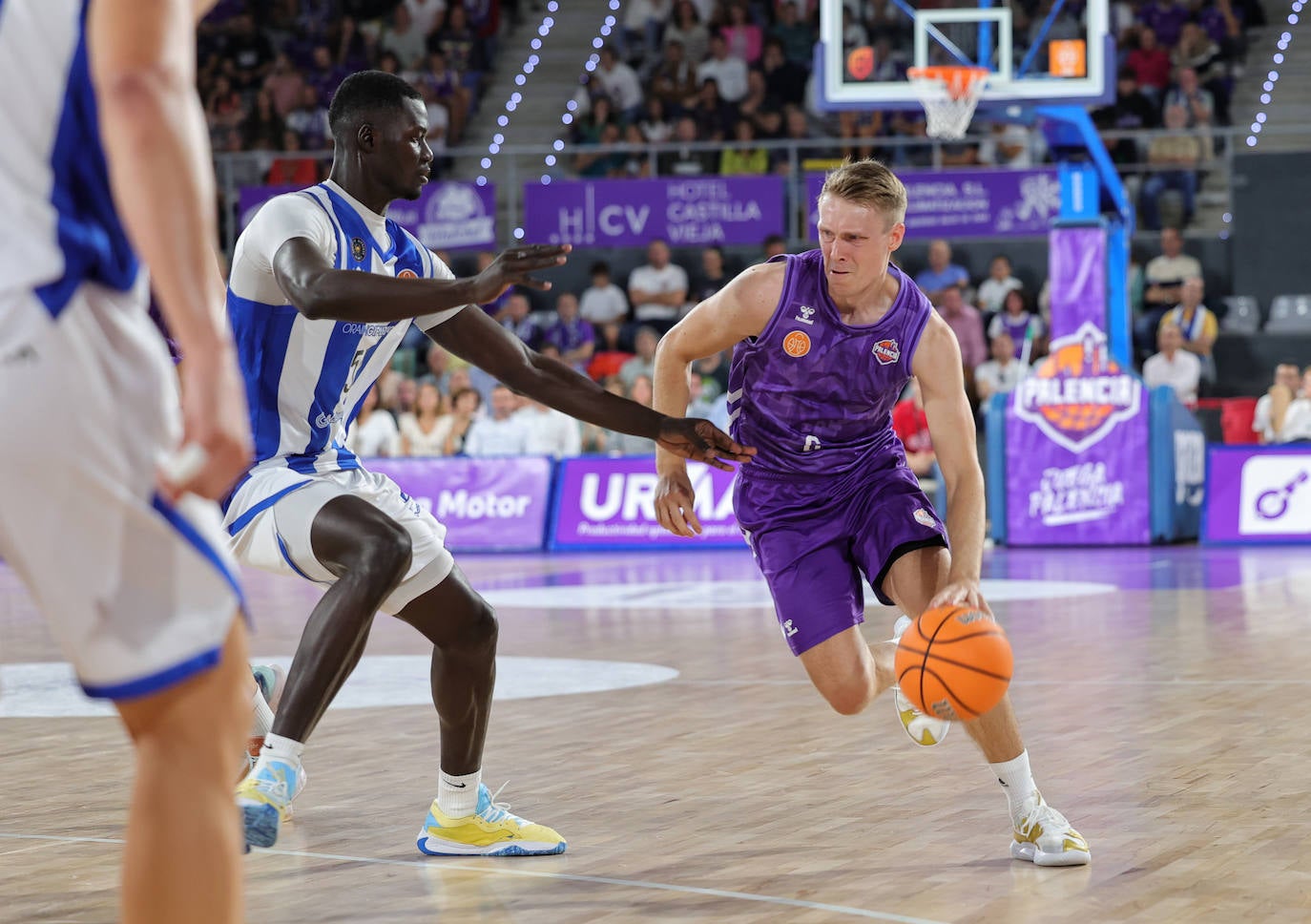 Estreno en casa con victoria del Palencia Baloncesto