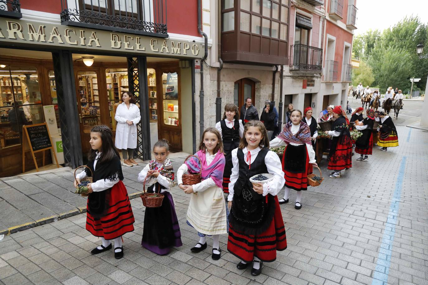 Las imágenes del pisado de la uva en Peñafiel