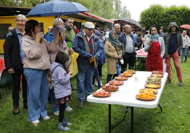 Los tomates del concurso han podido ser degustados por el público.