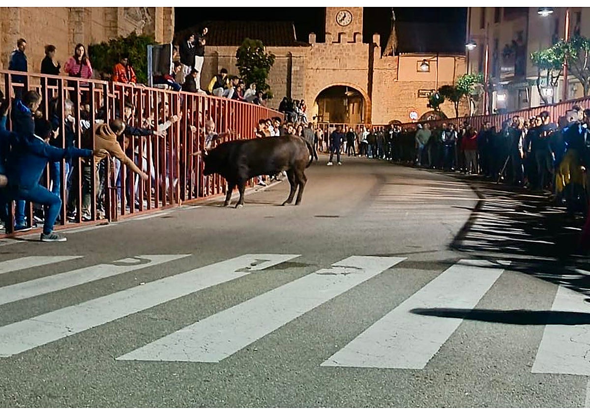 Cientos de aficionados siguieron de cerca el festejo desde las talanqueras