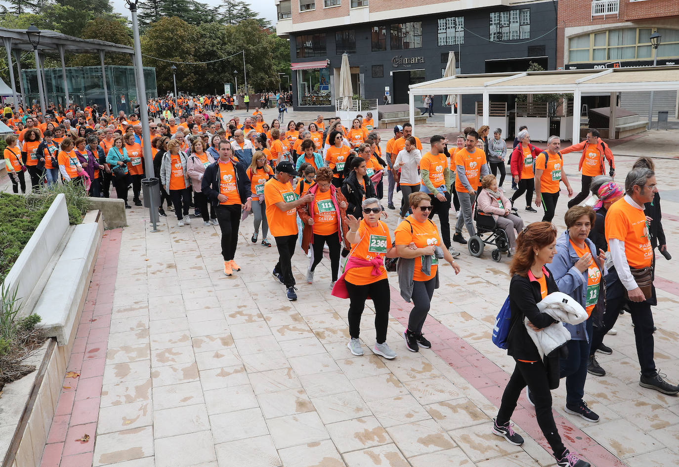 Palencia se vuelca con la Asociación Contra el Cáncer