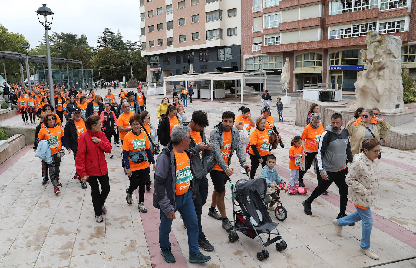 Palencia se vuelca con la Asociación Contra el Cáncer