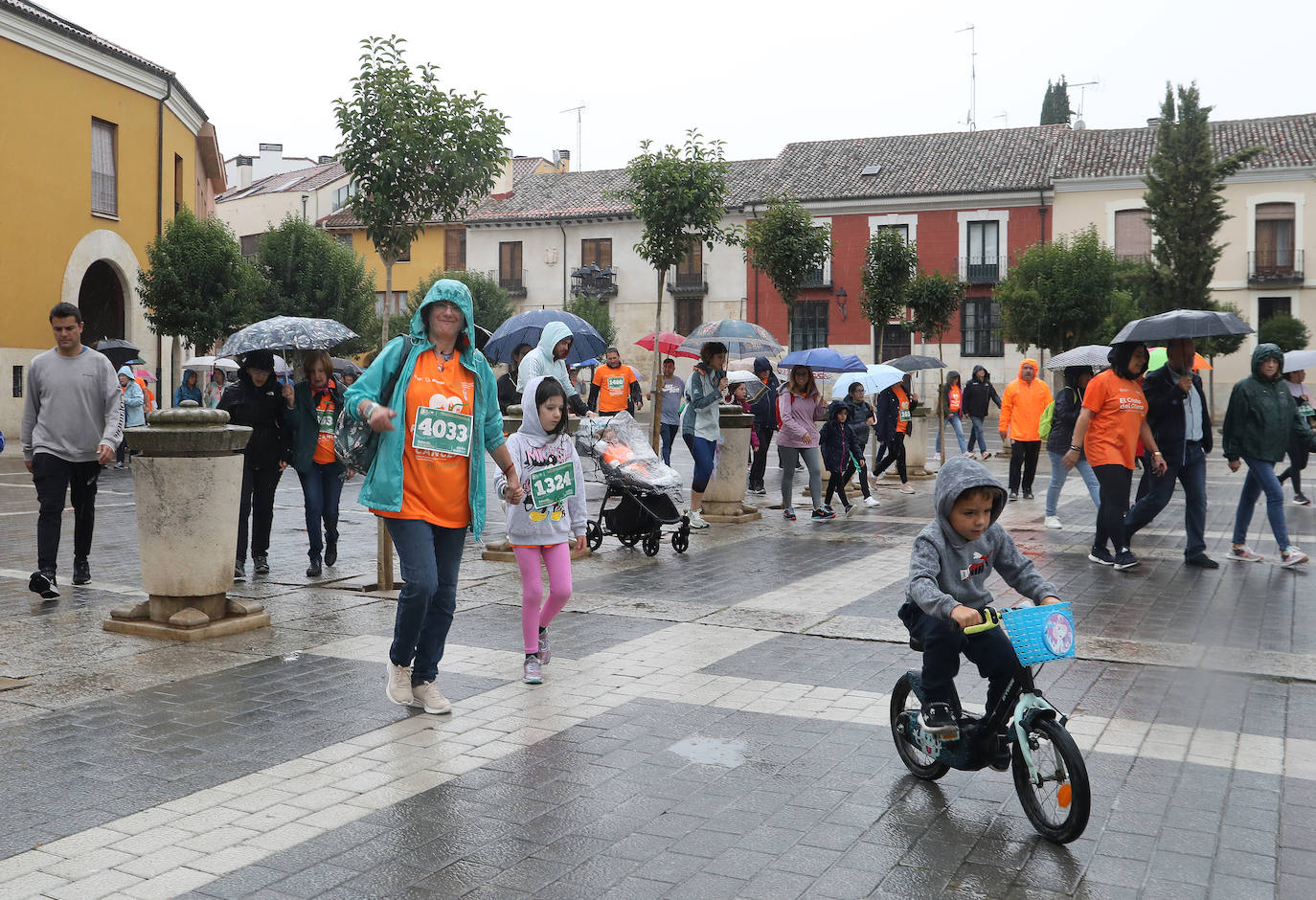 Palencia se vuelca con la Asociación Contra el Cáncer