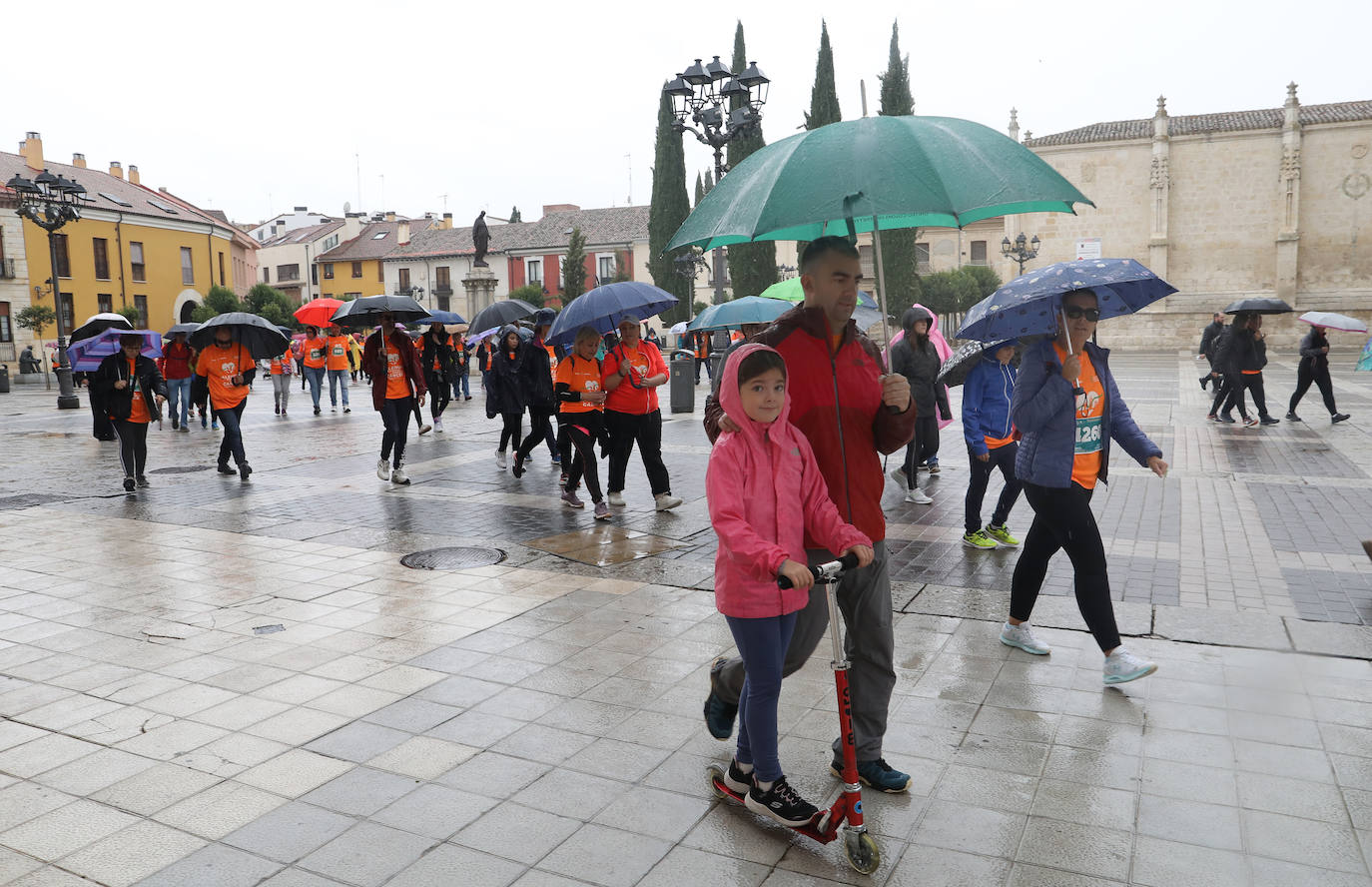 Palencia se vuelca con la Asociación Contra el Cáncer