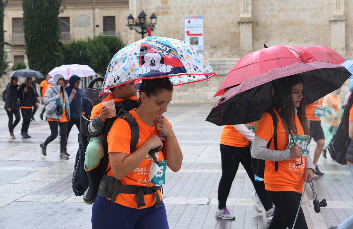 Palencia se vuelca con la Asociación Contra el Cáncer