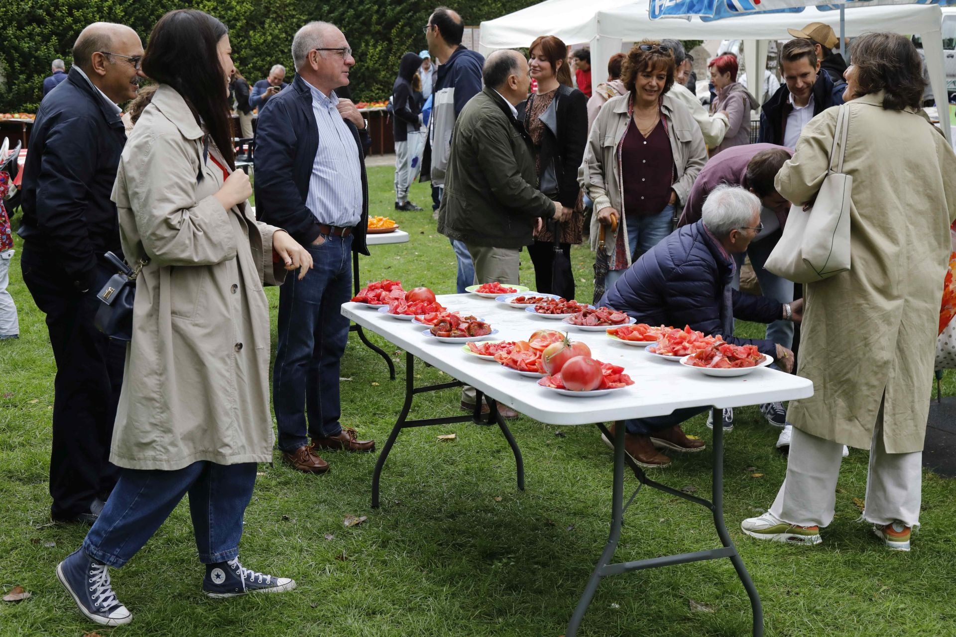 Feria del Tomate en Piñel de Abajo