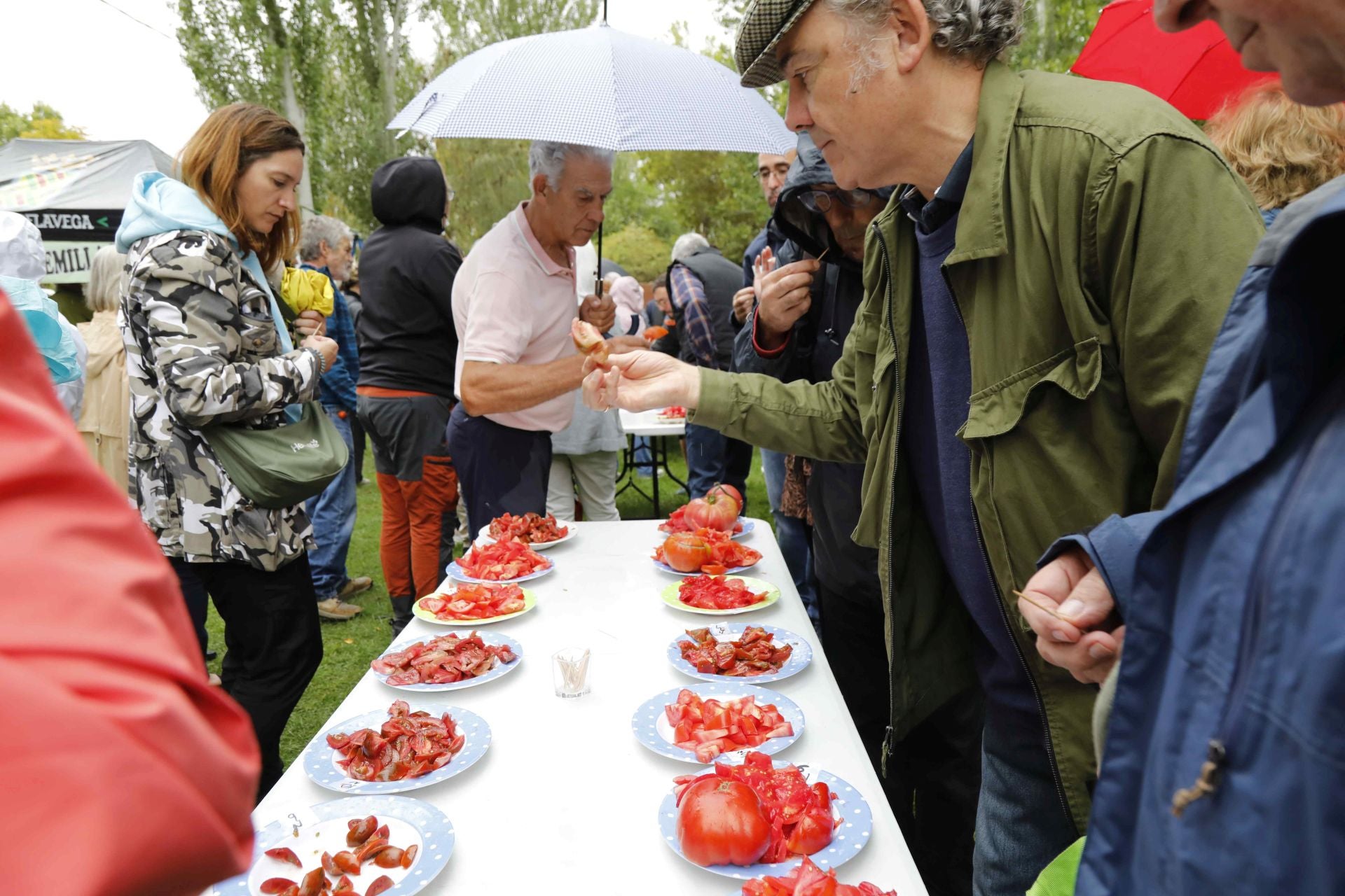 Feria del Tomate en Piñel de Abajo