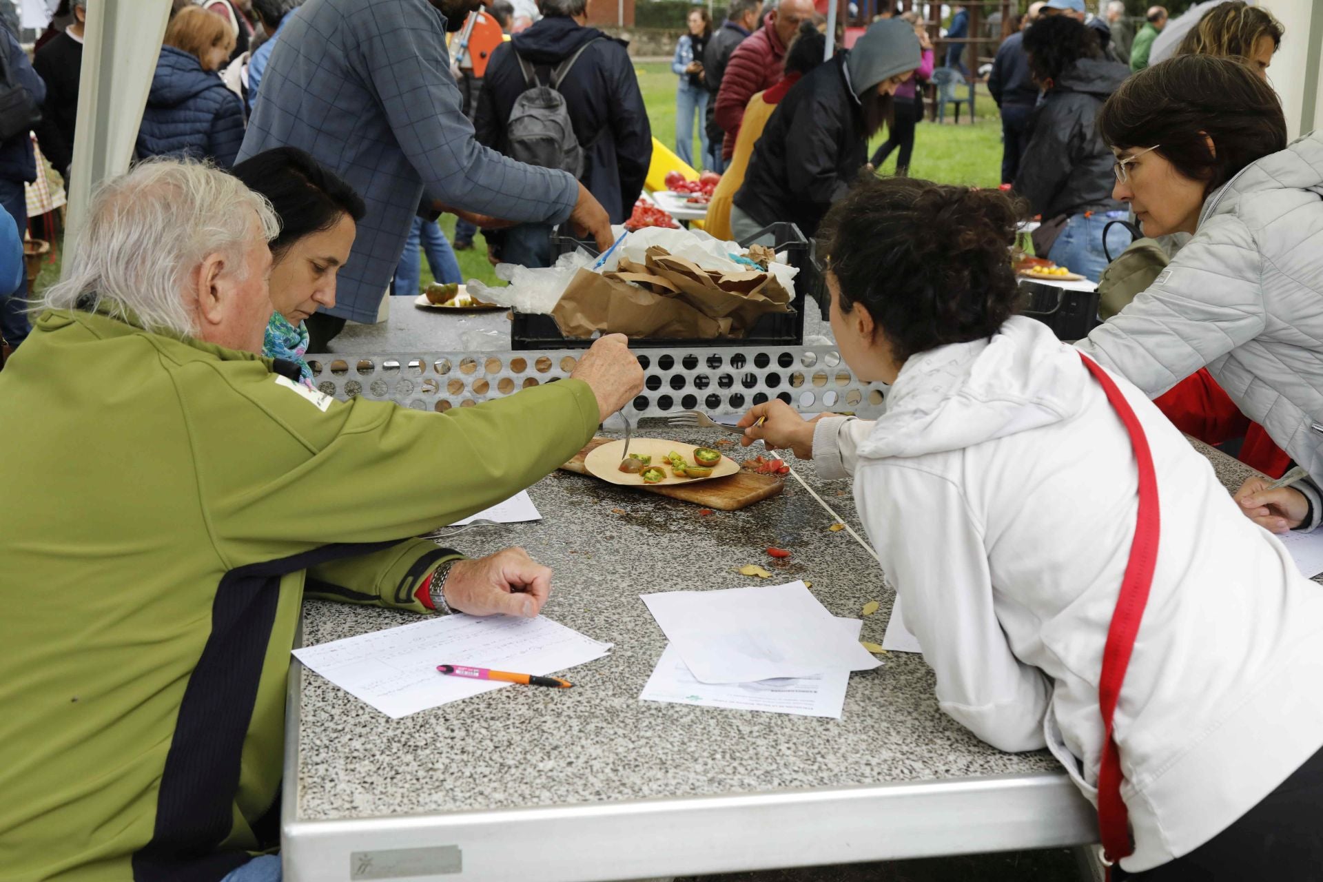 Feria del Tomate en Piñel de Abajo