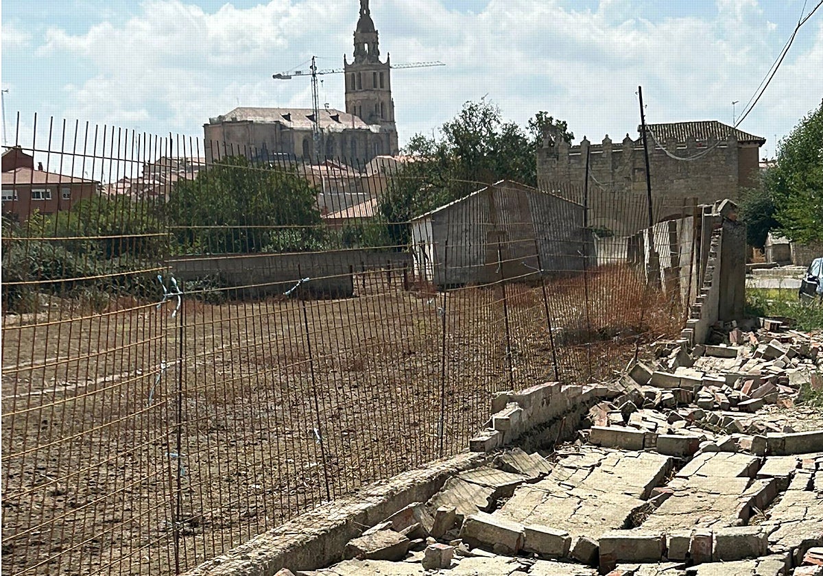 Tapia derribada el 31 de agosto por lo fuertes vientos.