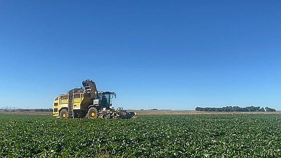 El tiempo esta semana: llega el agua, necesaria para los intereses agrarios