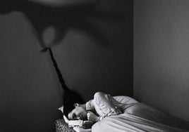 'Pesadilla', de Noell Oszvald.