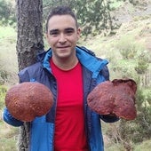 Boletus de más de un kilogramo en los montes de León