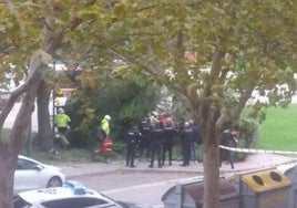 Imagen del árbol caído sobre un hombre en la avenida de Castilla y León.