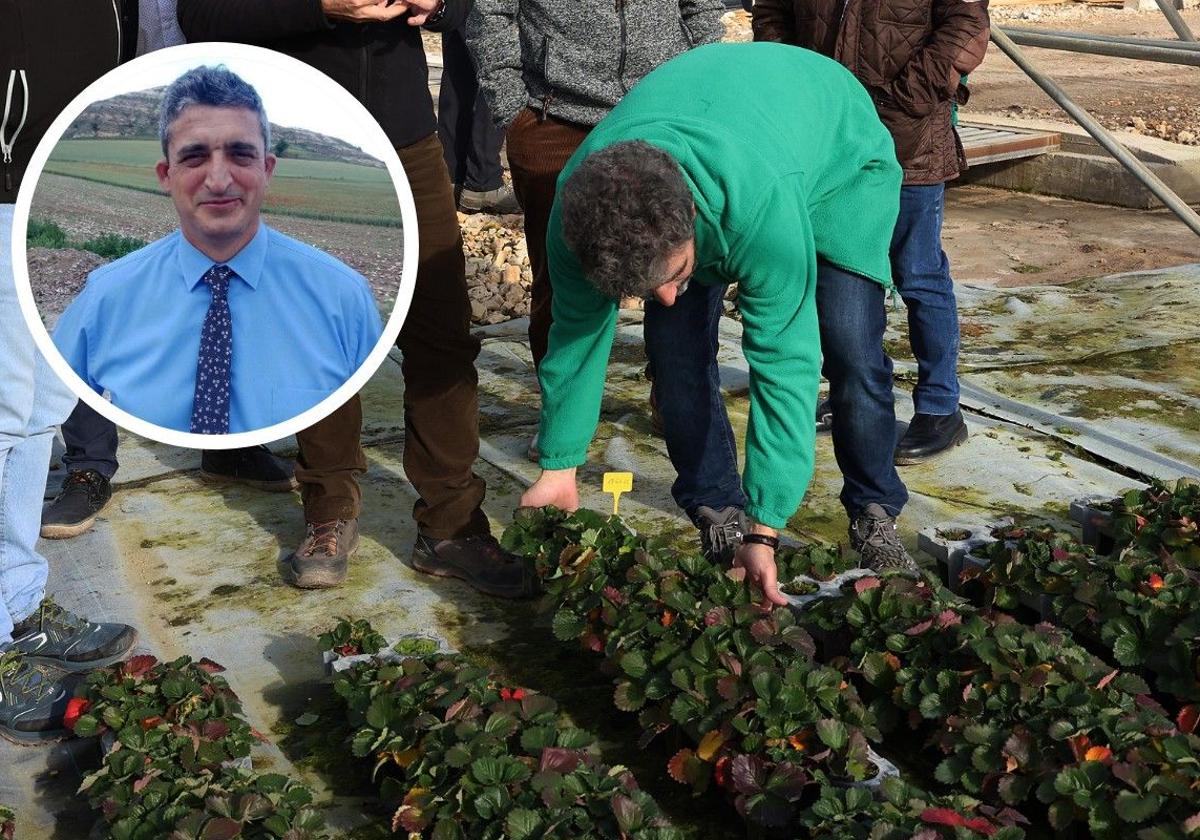 En grande, un trabajador de una empresa agrícola de Fuente el Olmo de Fuentidueña. En pequeño, el alcalde Francisco Javier Andrés.