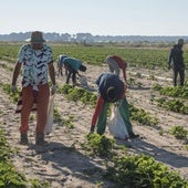 La población extranjera ya supone más del 20% del padrón en 24 municipios