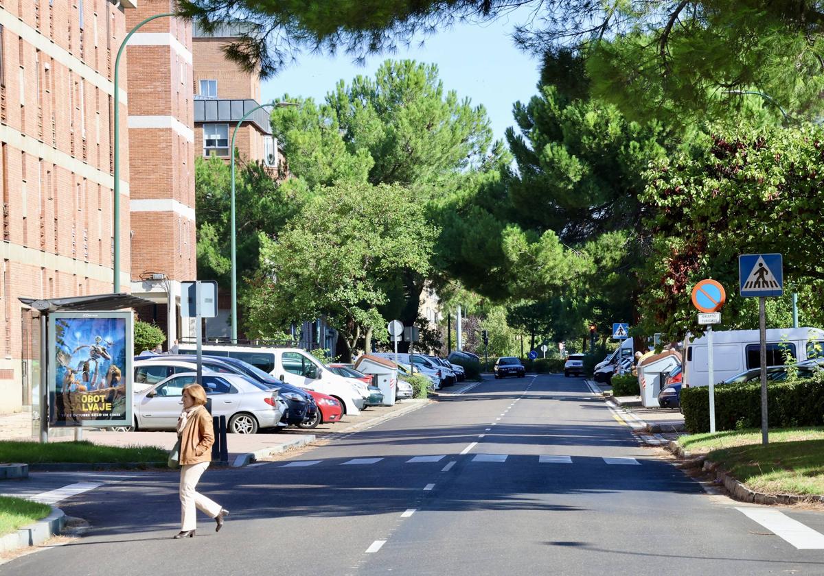 Calle Joaquín Velasco Martín, en Huerta del Rey