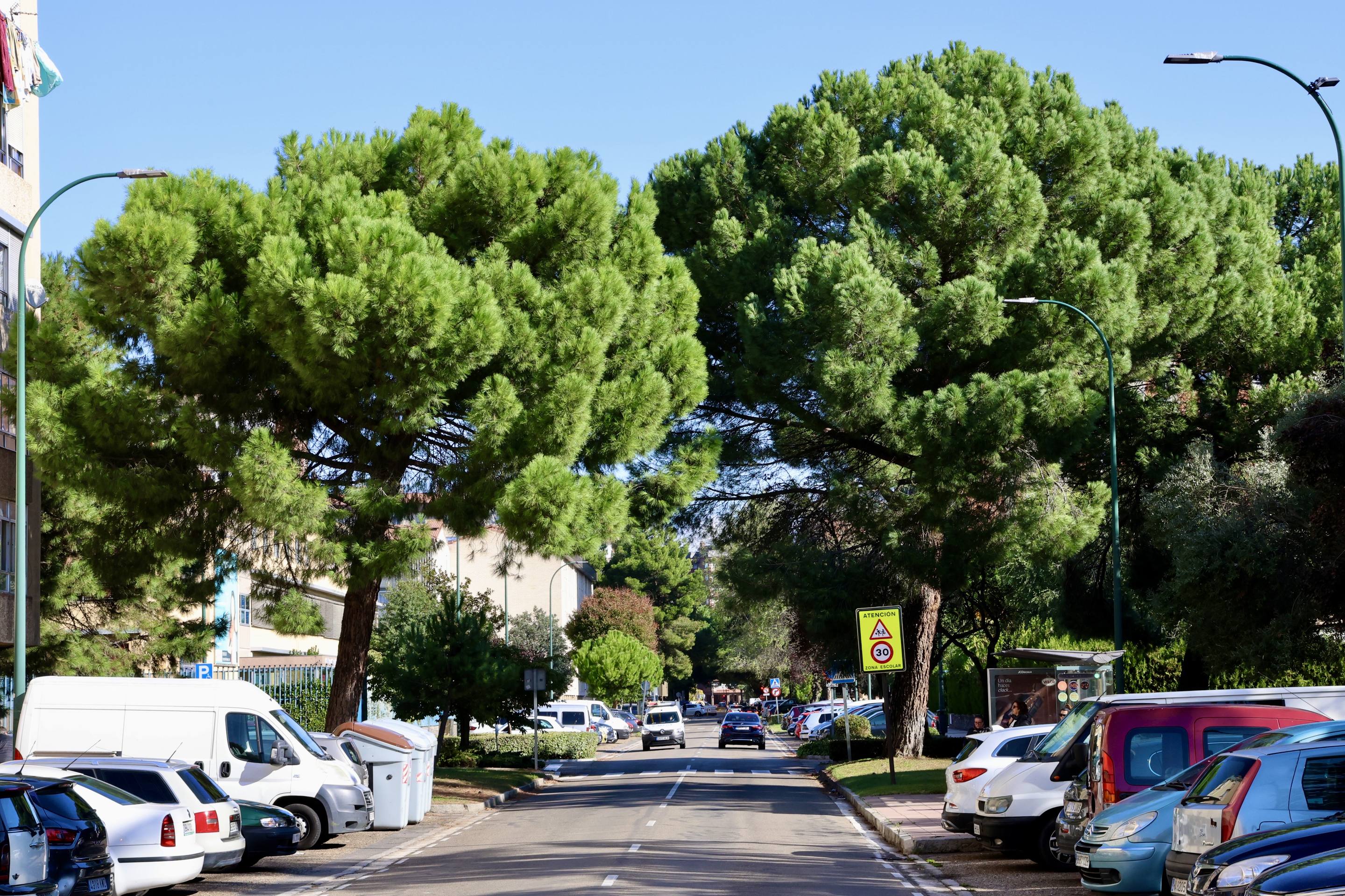 La calle Joaquín Martín Velasco, en imágenes