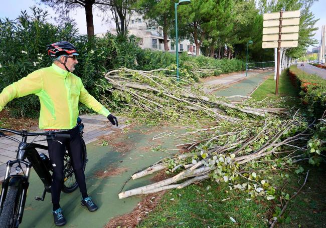 Un ciclista, en el carril bici de la avenida de Zamora, donde el viento tiró varios árboles.