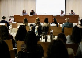Un numeroso público formado por profesionales de los sectores sanitario y social acudió a la jornada en el Benito Menni