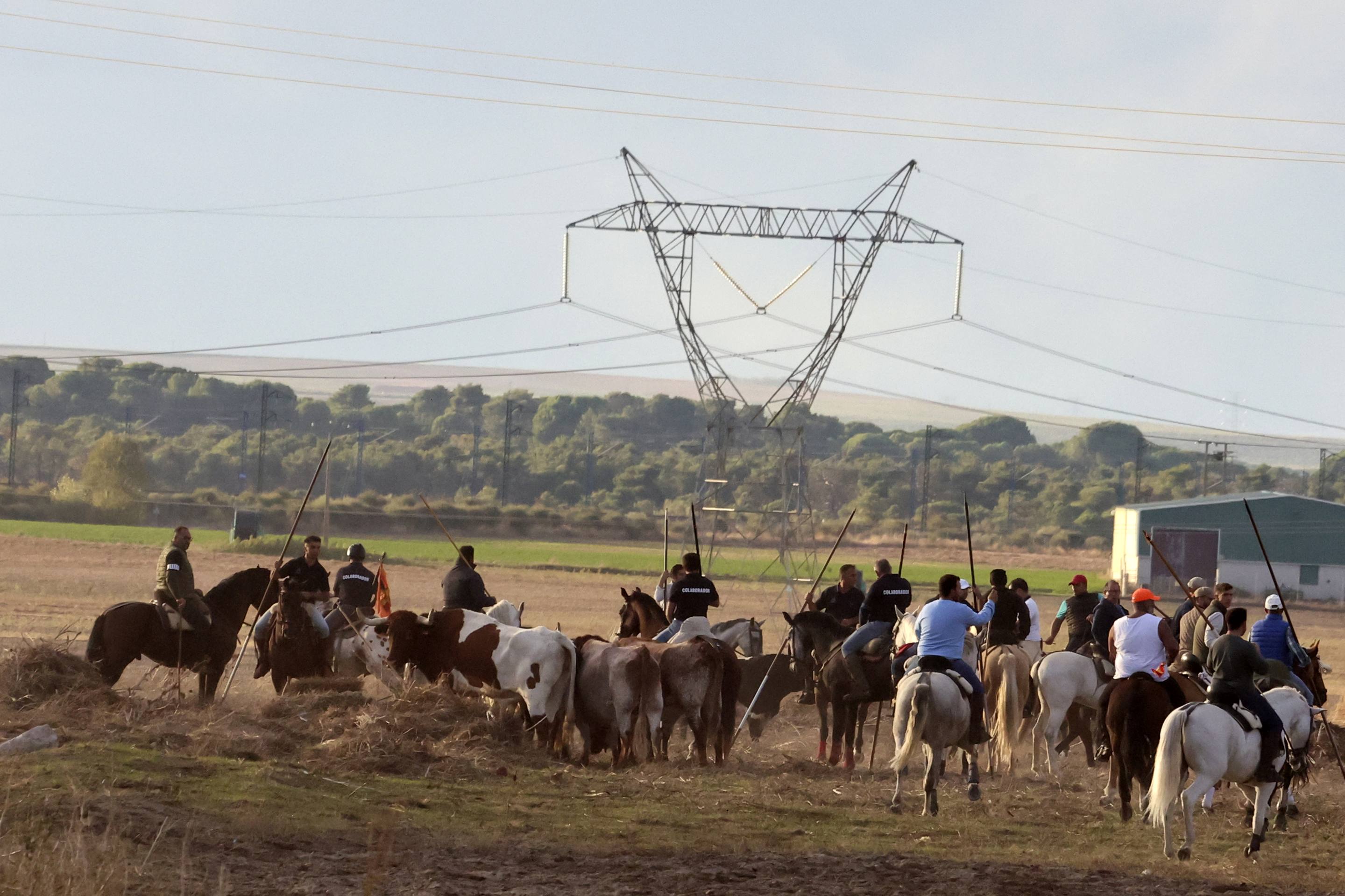 El último encierro en Olmedo, en imágenes