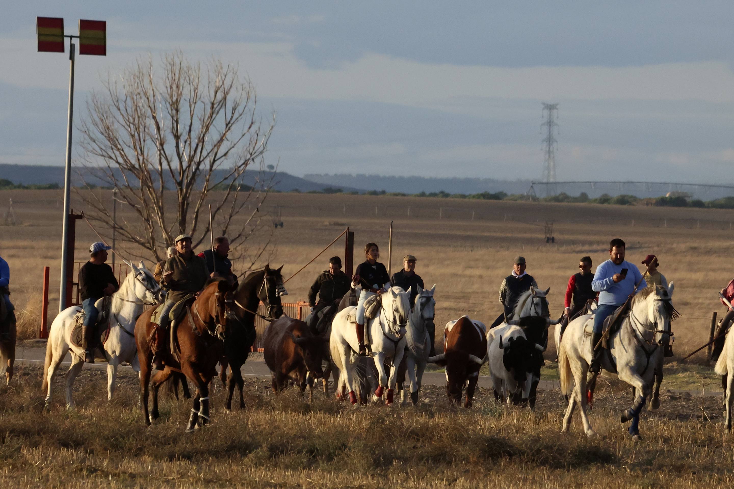 El último encierro en Olmedo, en imágenes