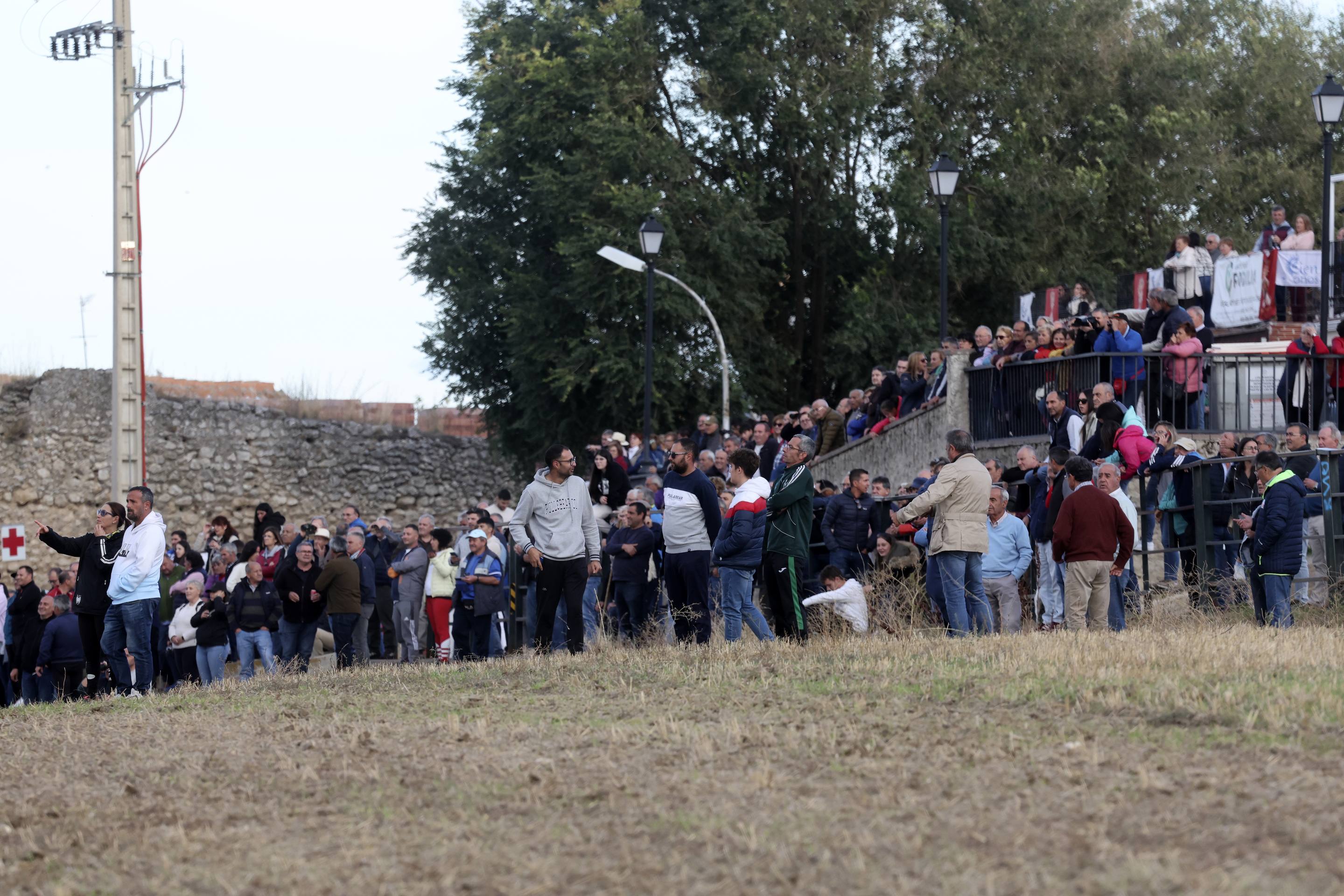 El último encierro en Olmedo, en imágenes