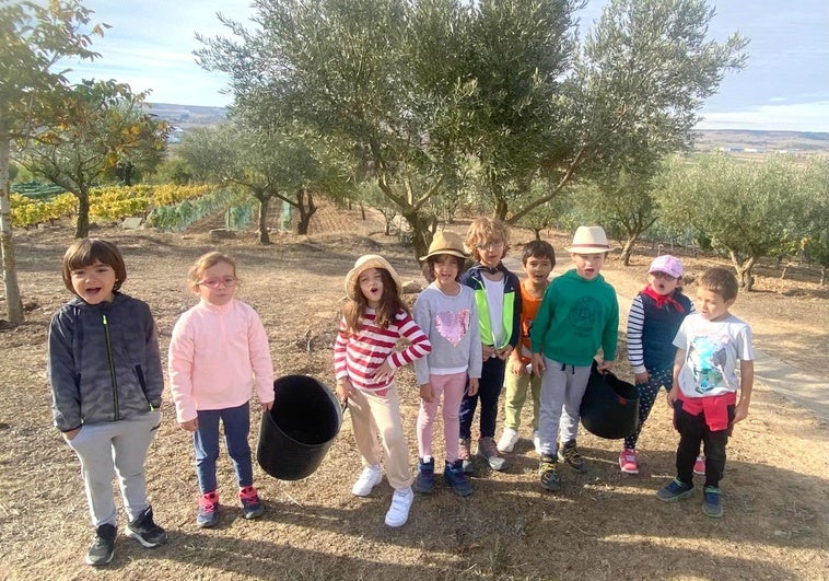 Los alumnos del Colegio San Pedro conocen la cultura tradicional del vino