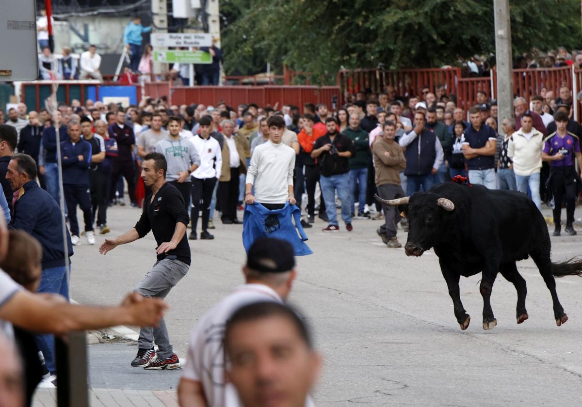 El Toro de la Vendimia reunió este sábado a miles de aficionados taurinos.