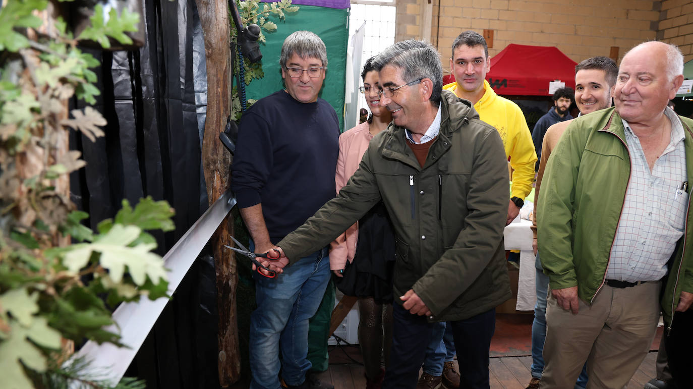 Así ha sido la tercera edición de la Feria de la Miel de Castrejón