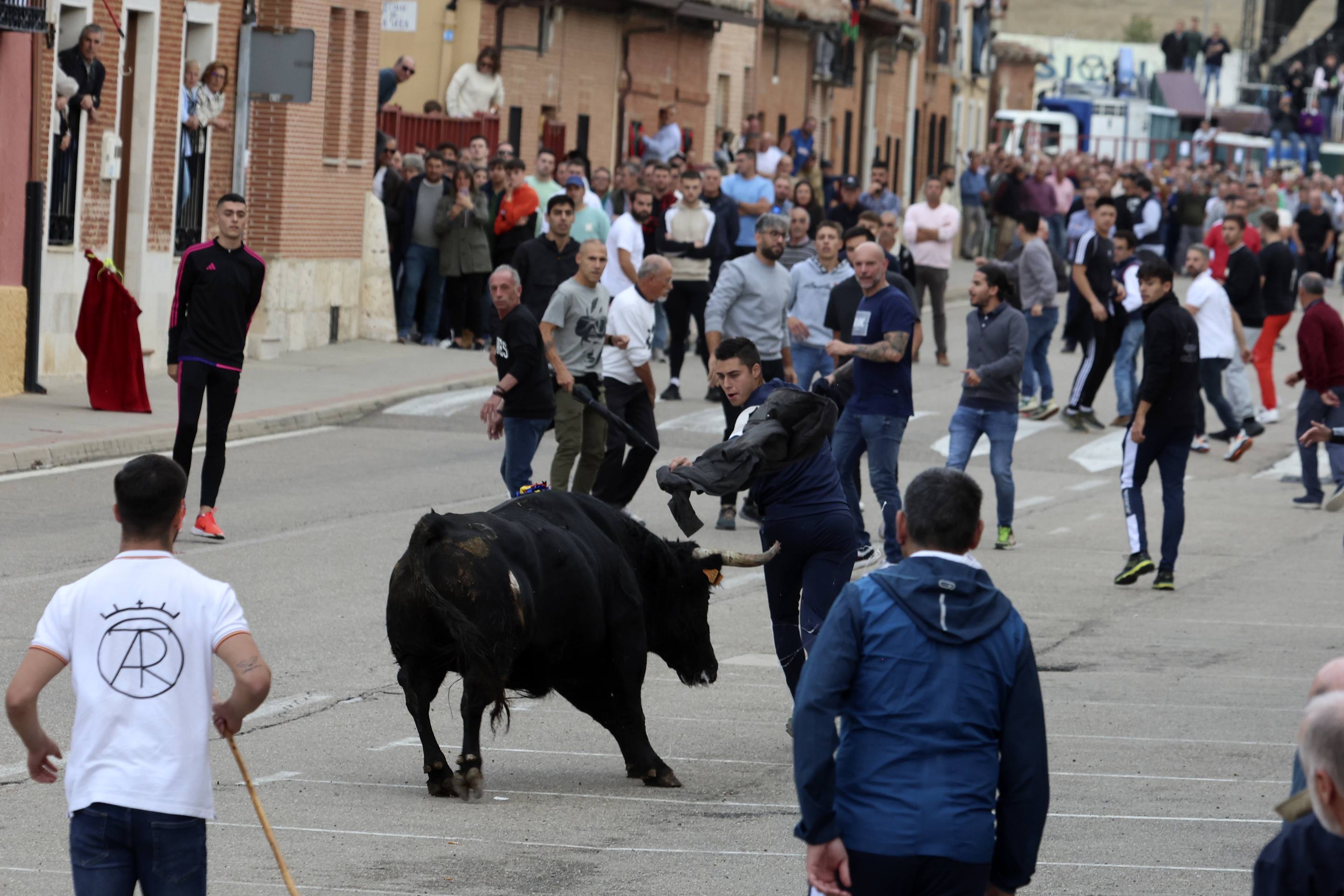 El Toro de la Vendimia de Rueda, en imágenes