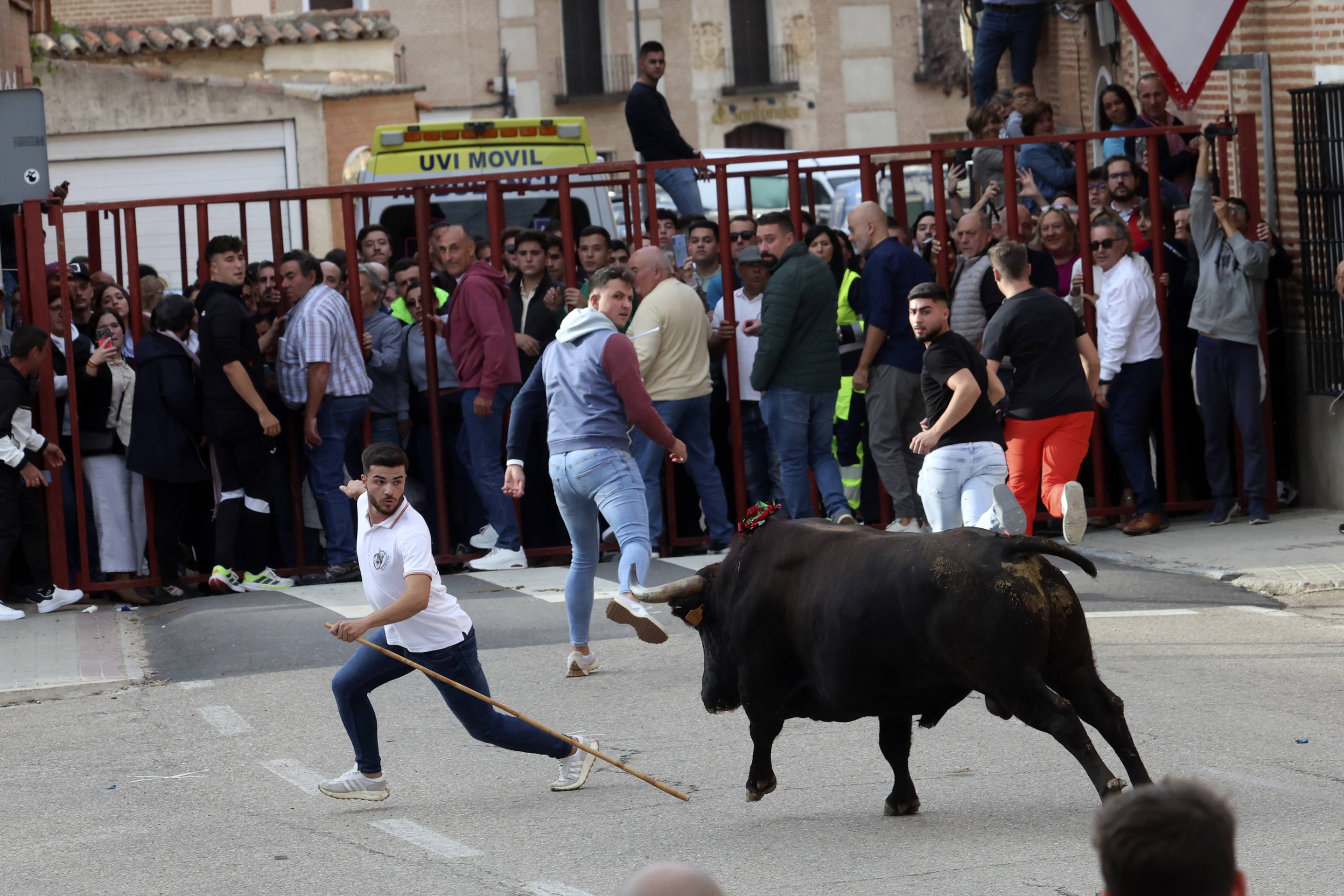 El Toro de la Vendimia de Rueda, en imágenes