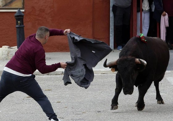 Imágenes del Toro de la Vendimia celebrado este sábado en Rueda